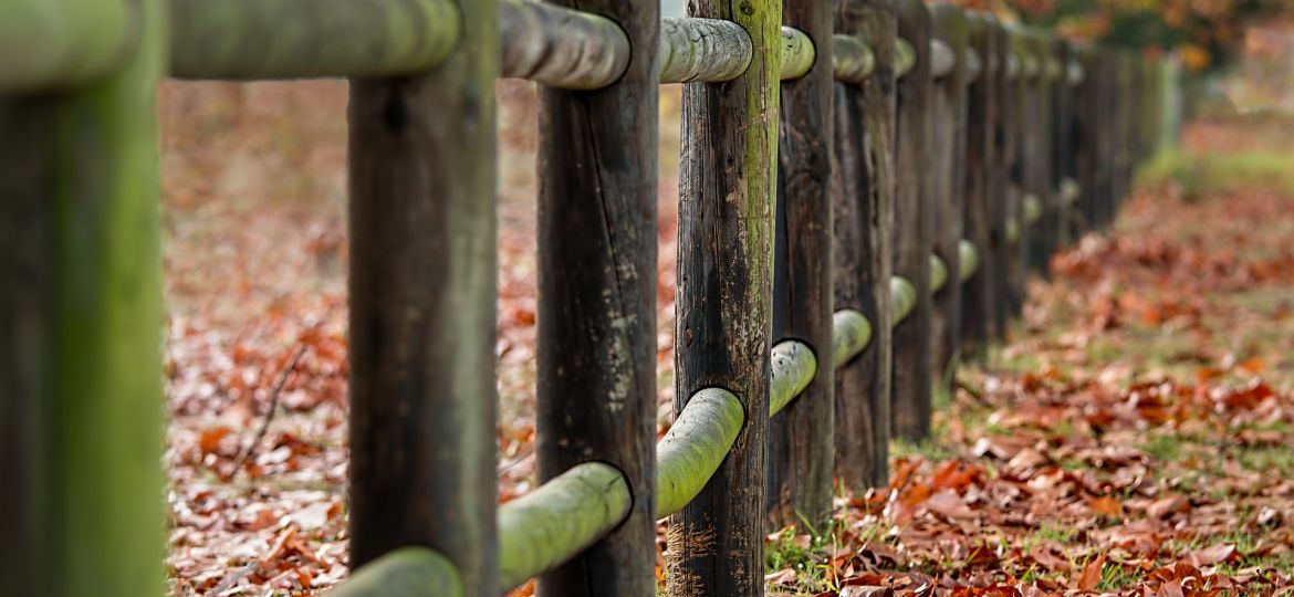 fence-posts-2331414_1920
