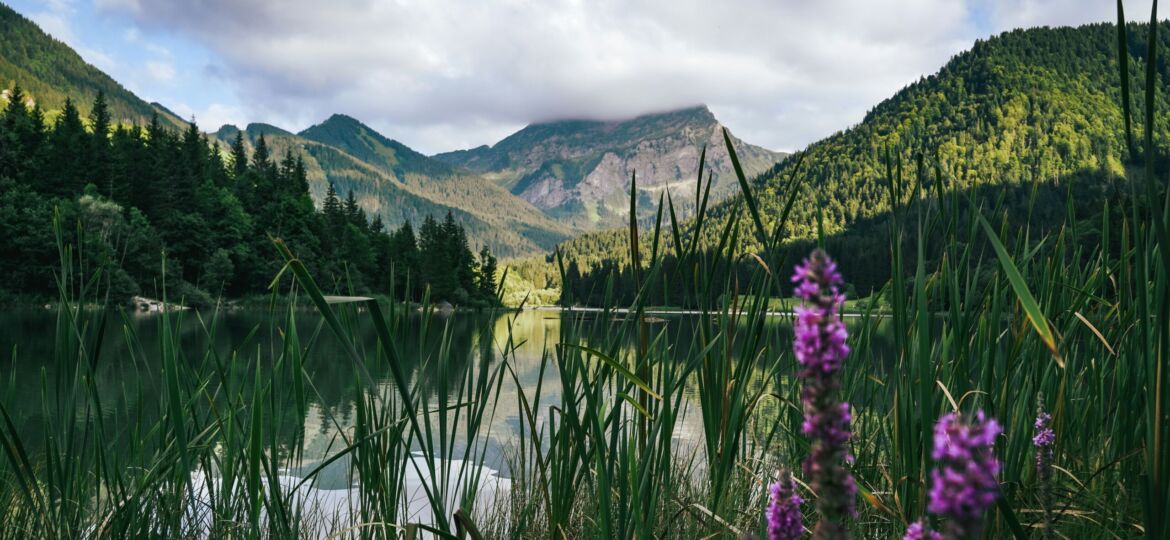 florian-cordier-jgVfjF4jcOs-unsplash
