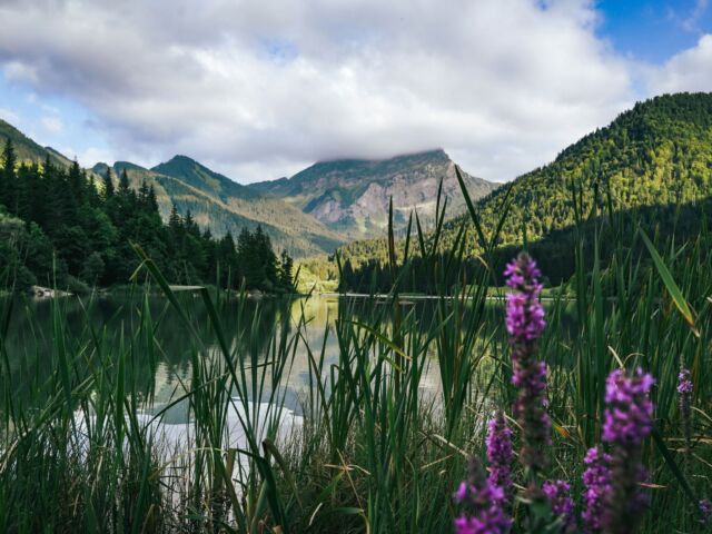 florian-cordier-jgVfjF4jcOs-unsplash