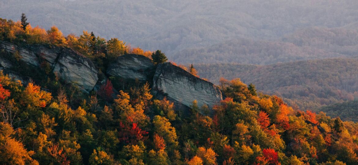 wes-hicks-Ag6m0LZNwnE-unsplash