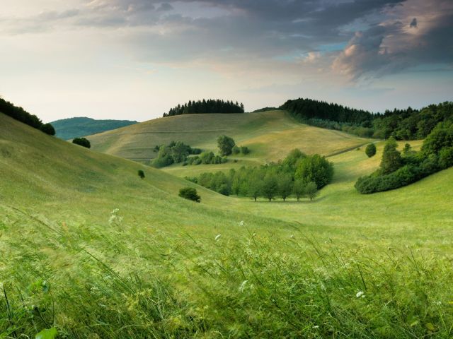 claudio-testa--SO3JtE3gZo-unsplash